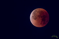 20180131 - 9161