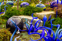 20140928 - 6658