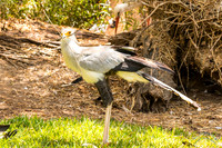20180529 - 7906