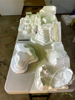 20231029-IMG_1397