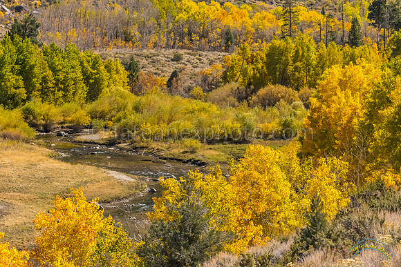 20181015 - 0221