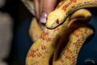 Ecovivarium