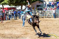 Poway Rodeo 2013 - 5121
