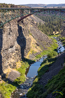P.S. Ogden State Park, OR