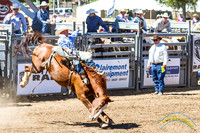 Poway Rodeo 2013 - 5008