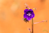 20190301 - 5764