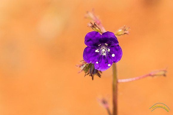 20190301 - 5764