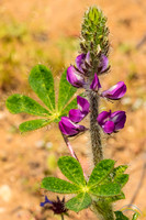 20190301 - 5779