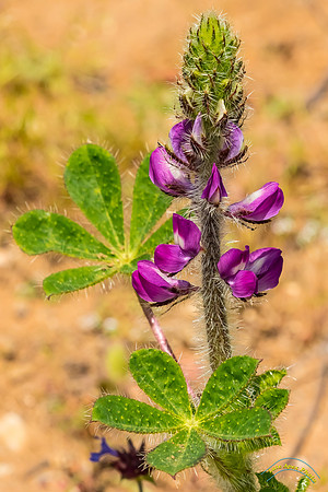 20190301 - 5779
