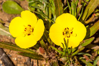20190301 - 6287