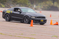 20190302 - 6507
