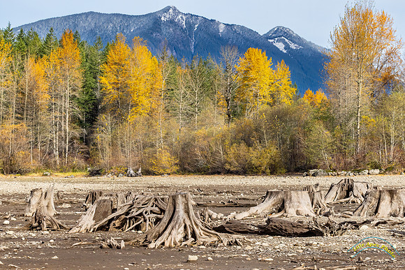 Rattlesnake Lake
