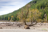 Rattlesnake Lake