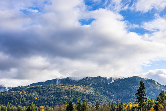 Tiger Mountain, WA