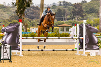 Hunter Jumper National Horse Show 2024-5-3