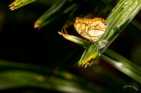 20190415 - 9435