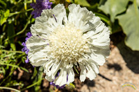 20190417 - 9723