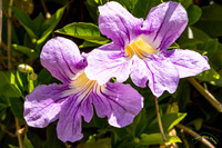20190417 - 9731
