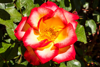20190417 - 9749