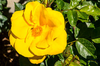 20190417 - 9755