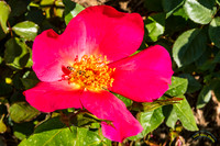 20190417 - 9757