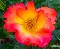 20190417 - 9770