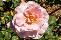 20190417 - 9774