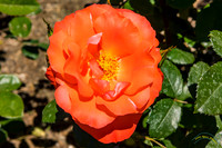 20190417 - 9779