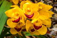 20190417 - 9787