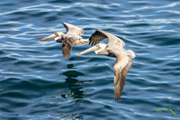 20231216-IMG_2387-Edit