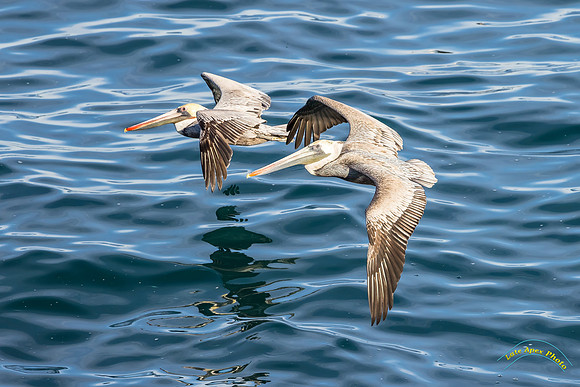 20231216-IMG_2387-Edit