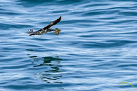 20231216-IMG_2535-Edit