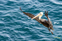 20231216-IMG_2623-Edit