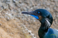 20231216-IMG_2684-Edit