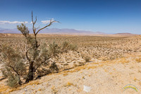 20190601 - 0296