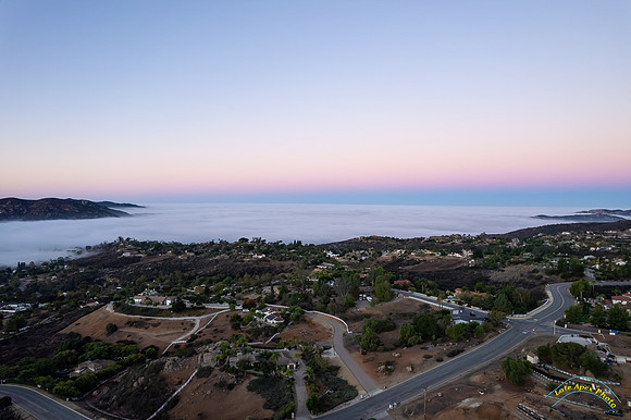 Blossom Valley Morning