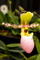 20240119-IMG_5509-Edit-2