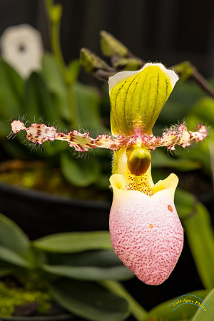 20240119-IMG_5509-Edit-2
