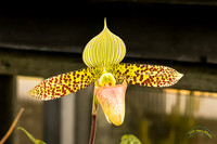 20240119-IMG_5516-Edit-2