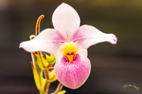 20240119-IMG_5517-Edit