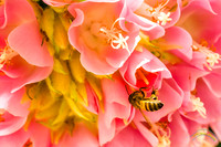 20240119-IMG_5582-Edit
