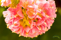 20240119-IMG_5597-Edit