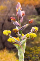 20240124-IMG_6170-Edit