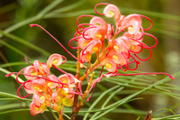 20240124-IMG_6274-Edit