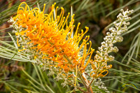 20240124-IMG_6280-Edit