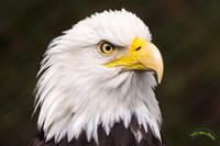20240124-IMG_5832-Edit