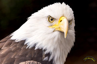 20240124-IMG_5878-Edit