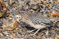 20240124-IMG_6042-Edit