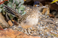 20240124-IMG_6065-Edit