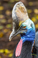 20240124-IMG_6206-Edit